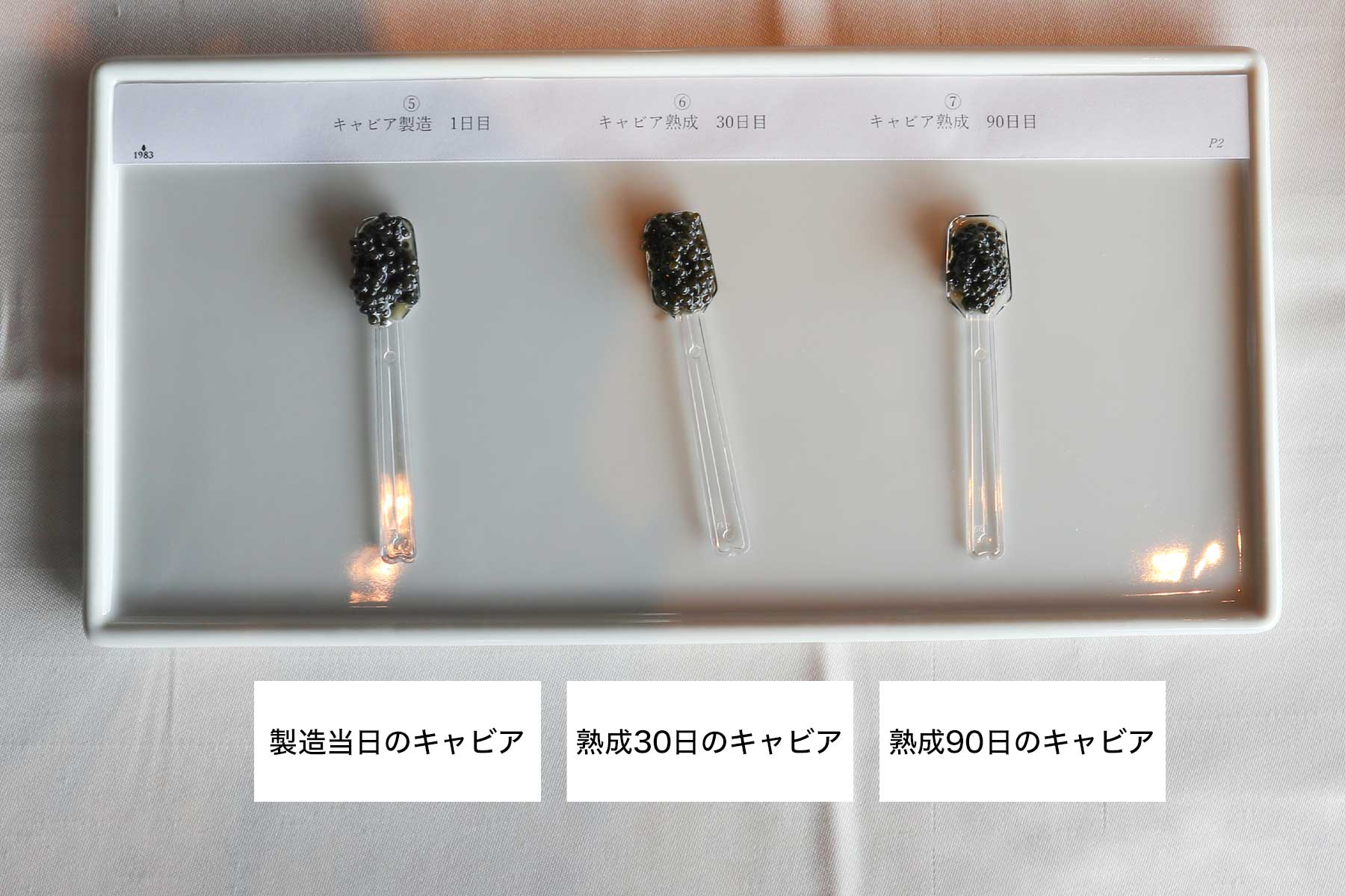 キャビアセミナーを開催しました
