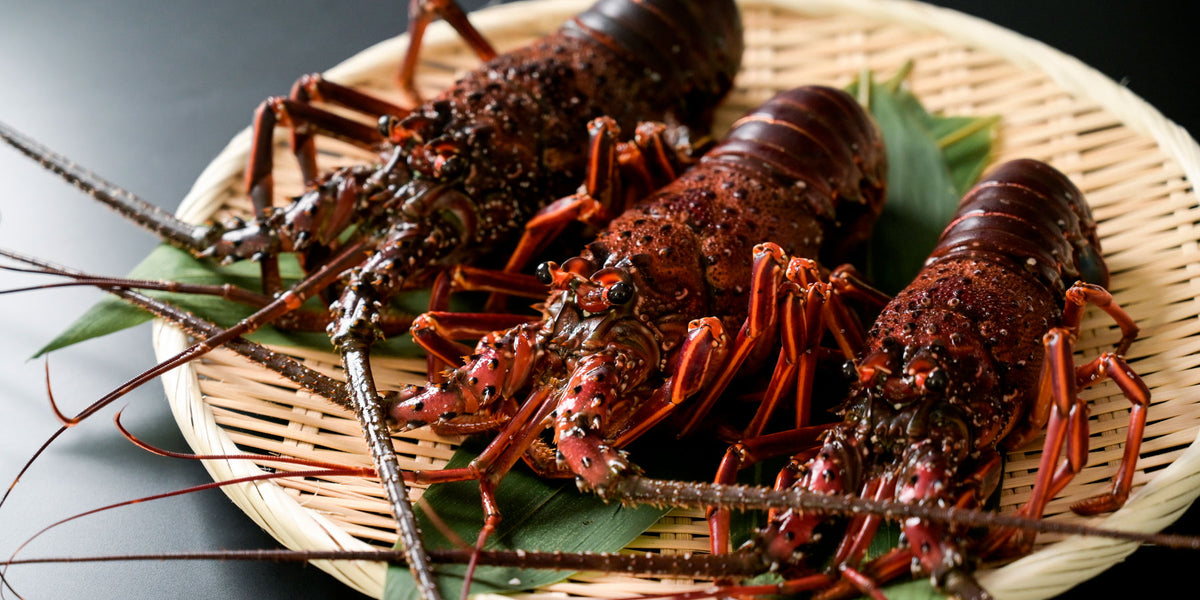 伊勢海老 – ジャパンキャビア (宮崎キャビア1983 / 1983 J.CAVIAR