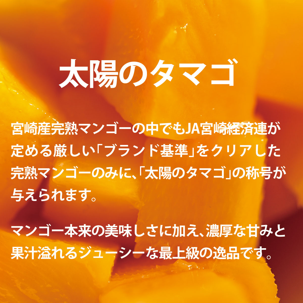 宮崎完熟マンゴー「太陽のタマゴ」 4L 2玉 青秀以上 | ジャパン