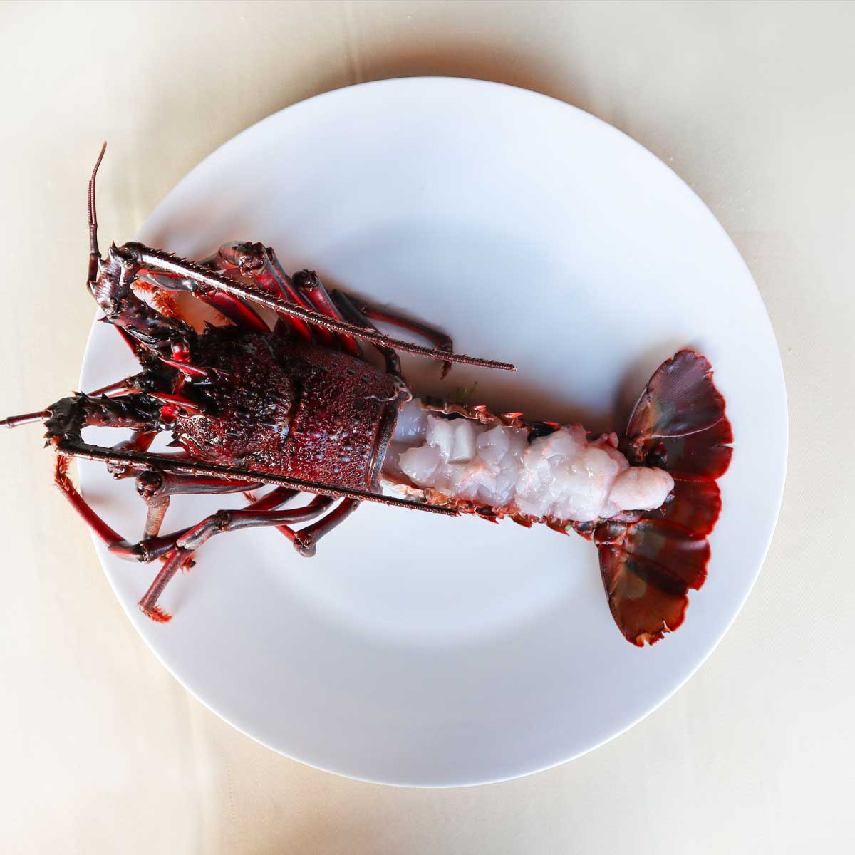 宮崎キャビア1983 バエリ 旨味 (20g) & 伊勢海老（むき身殻付き）450g