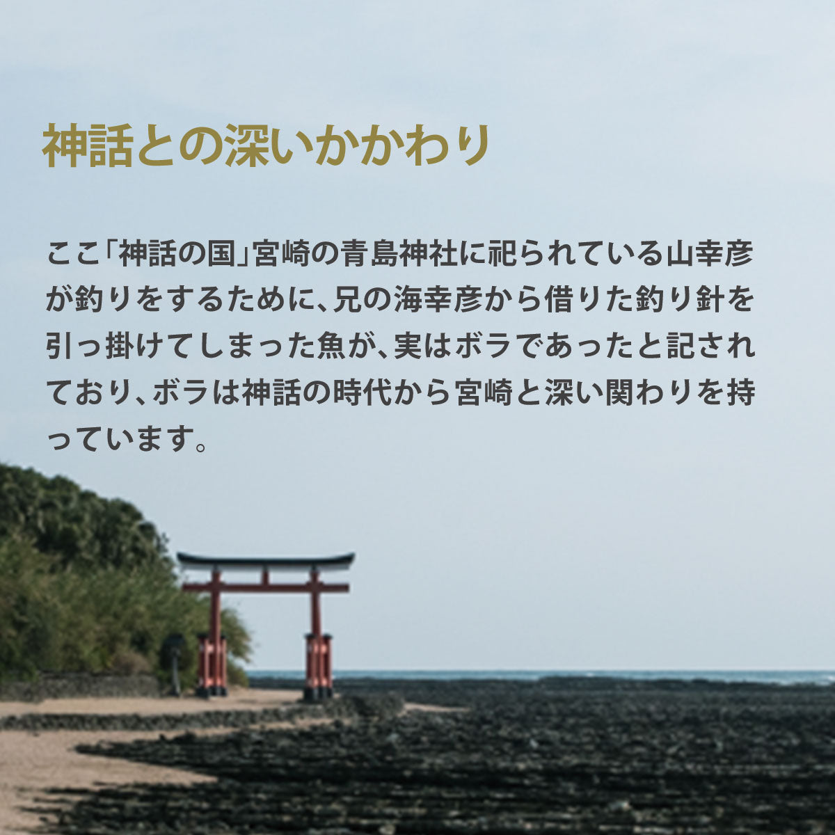 宮崎県産 本からすみ 一腹 (約200g)