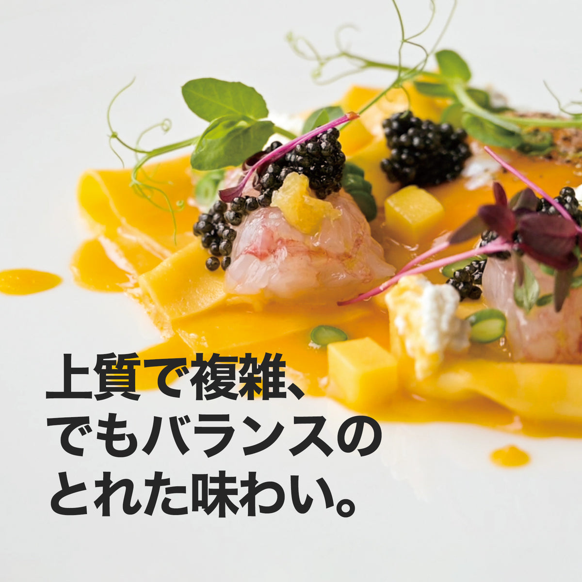 宮崎キャビア1983 オシェトラ クラシック | ジャパンキャビア1983公式