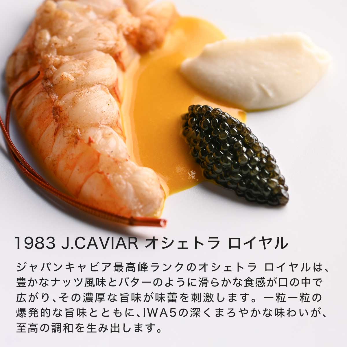IWA 5 アッサンブラージュ6 (ギフトボックス付き)富山県 純米大吟醸酒 + 宮崎キャビア1983 オシェトラ ロイヤルセット