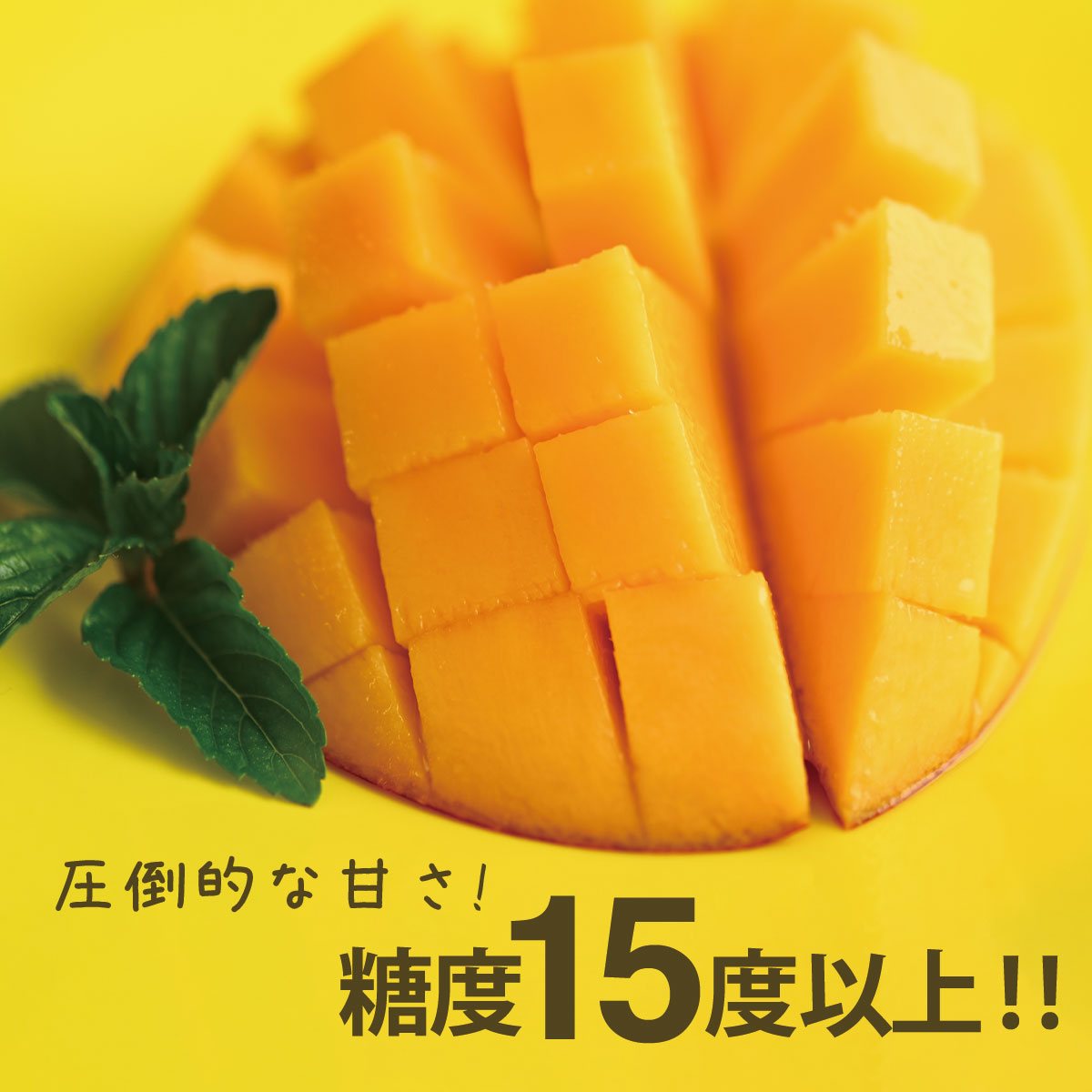 太陽のタマゴ 4L×2玉 化粧箱入り 完熟マンゴー