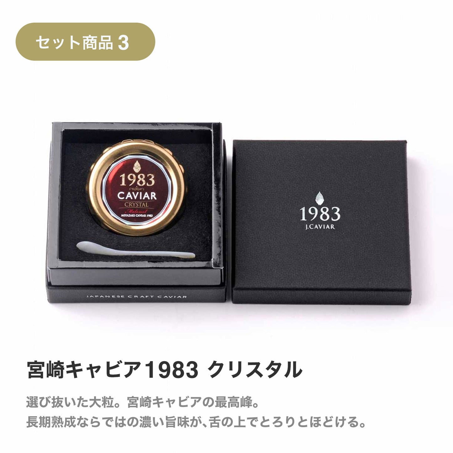 IWA 5 マスターピース コレクション