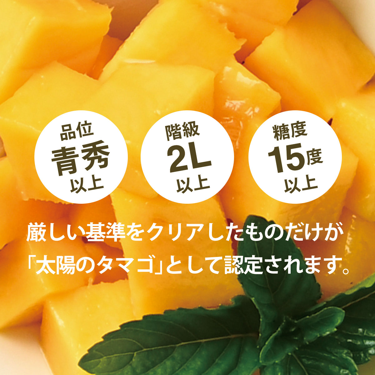 太陽のタマゴ 4L×2玉 化粧箱入り 完熟マンゴー