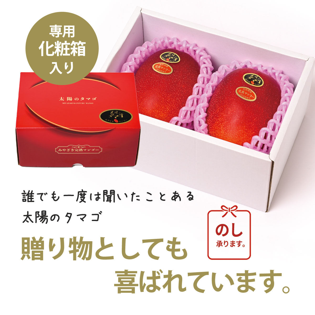 太陽のタマゴ 4L×2玉 化粧箱入｜宮崎マンゴーの最高峰 – ジャパン