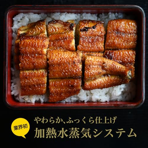 国産 うなぎ蒲焼き ハーフカット (95g×5枚)