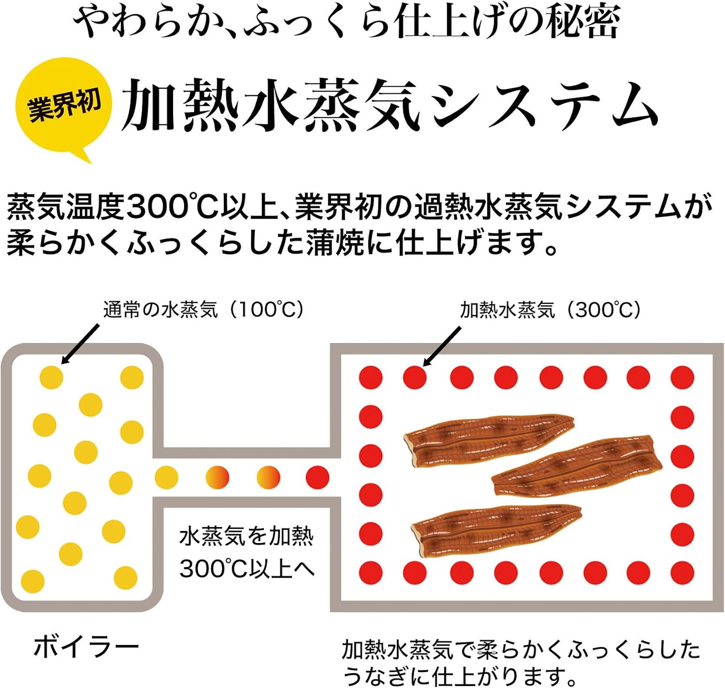 国産 うなぎ蒲焼き ハーフカット (95g×5枚)