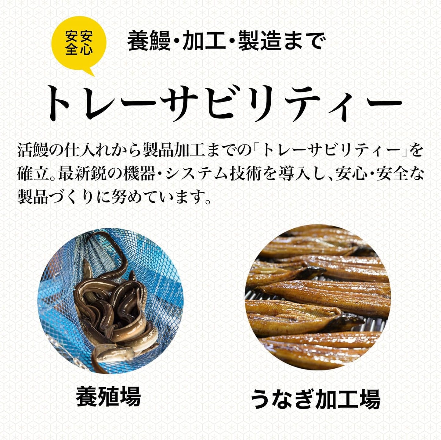 国産 うなぎ蒲焼き ハーフカット (95g×5枚)