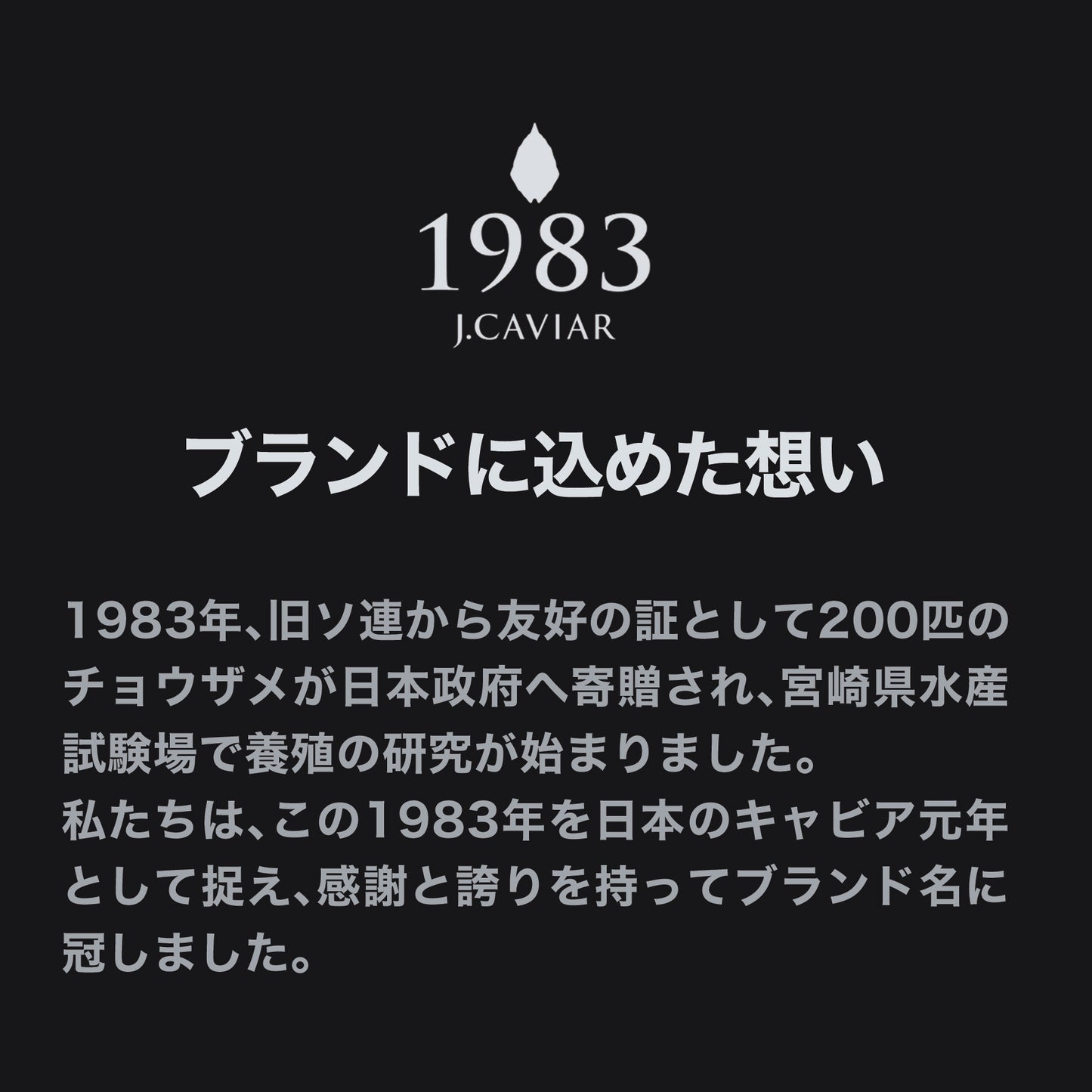 宮崎キャビア1983 バエリ 旨味