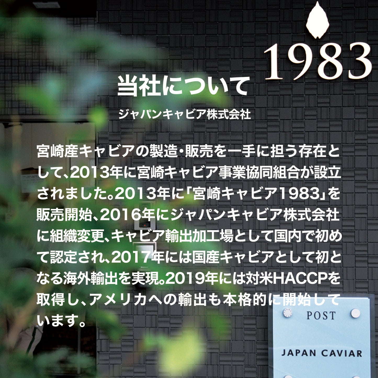 宮崎キャビア1983 オシェトラ プレミアム (20g)