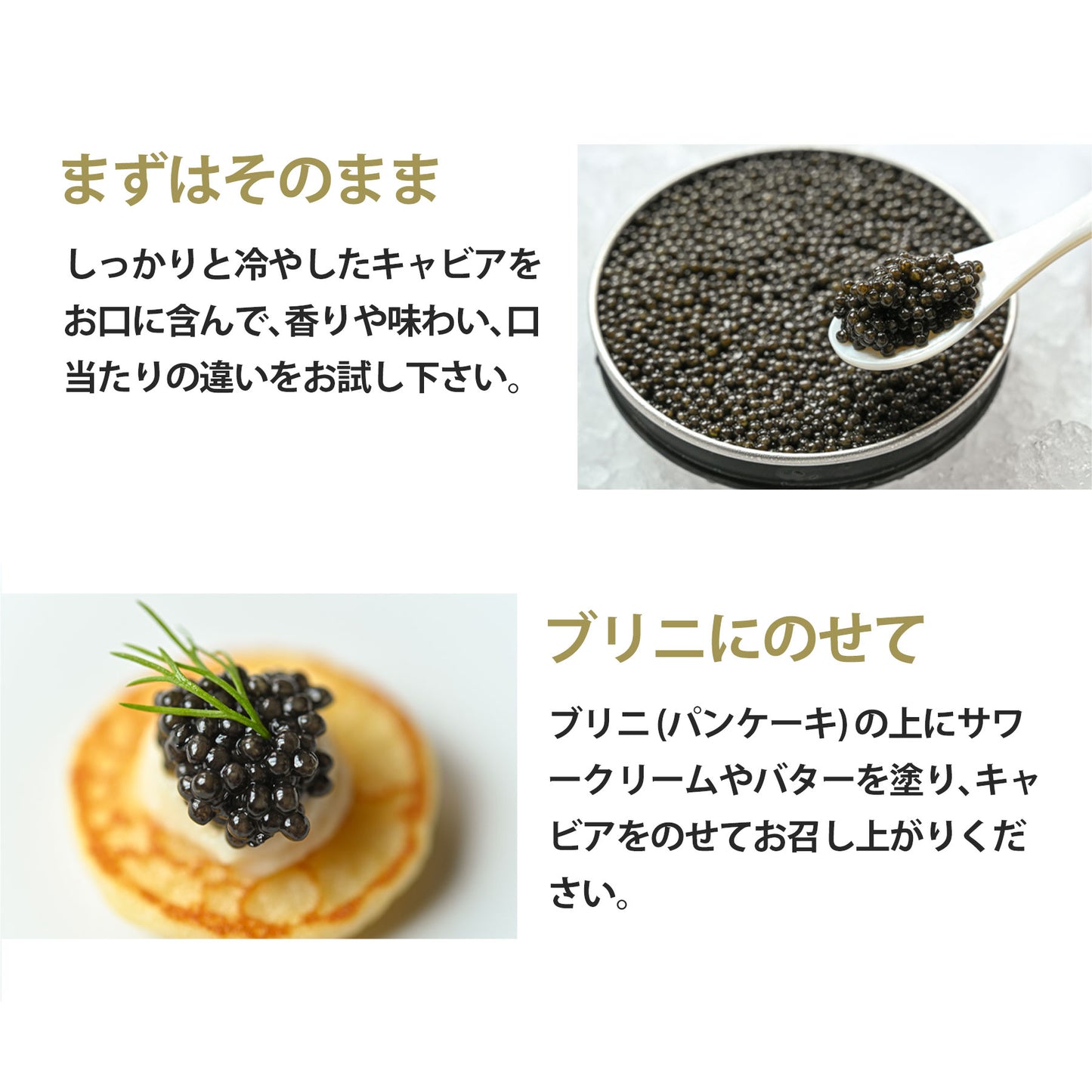 宮崎キャビア1983 バエリ クラシック (12g) & バエリ 旨味 (12g) 豪華食べ比べセット