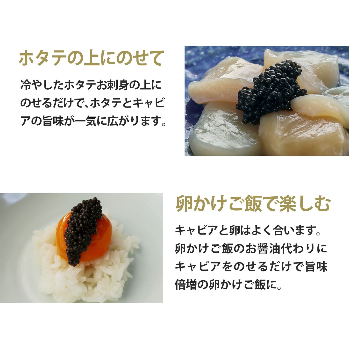 宮崎キャビア1983 バエリ クラシック (12g) & バエリ 旨味 (12g) 豪華食べ比べセット