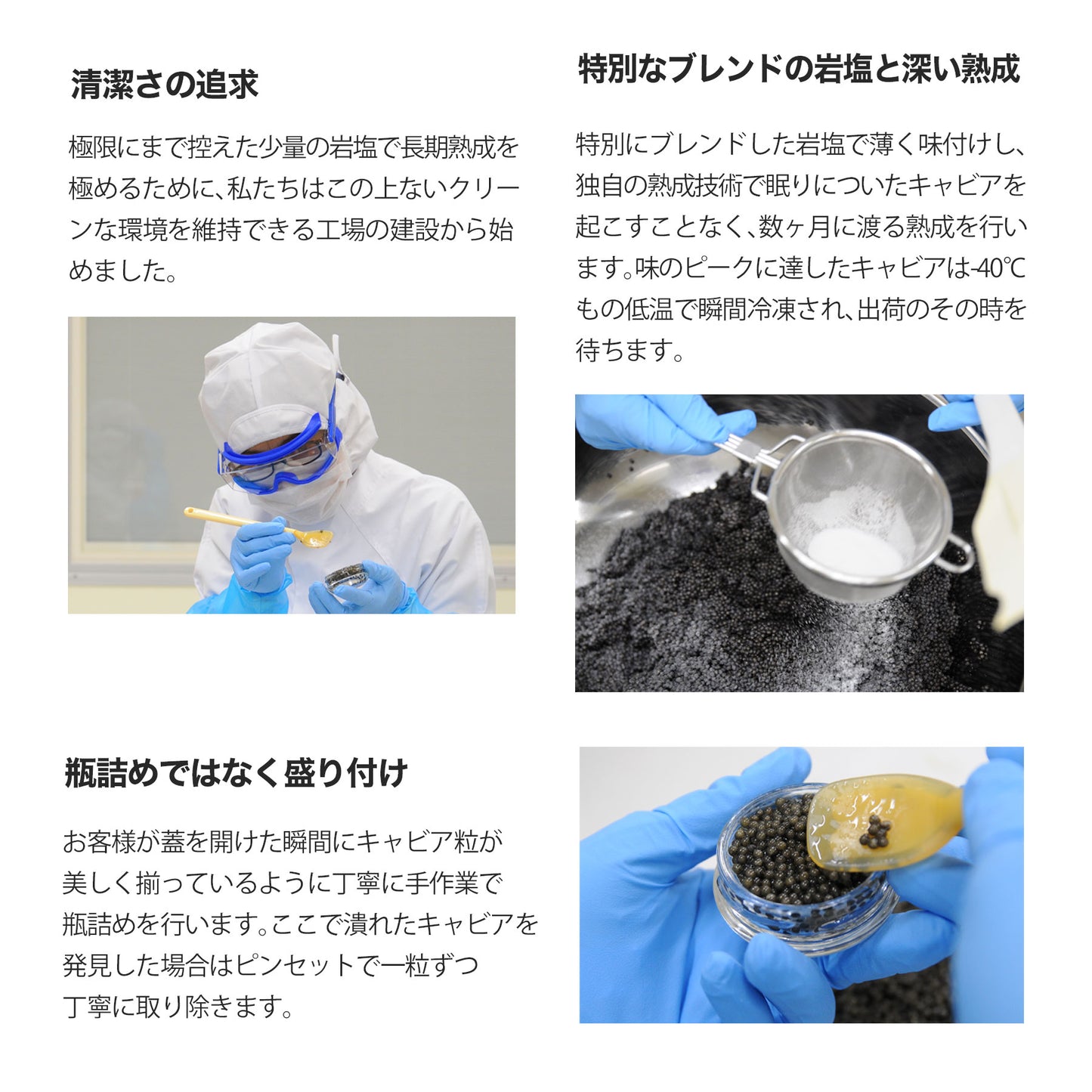 宮崎キャビア1983 バエリ クラシック (12g) & バエリ 旨味 (12g) 豪華食べ比べセット