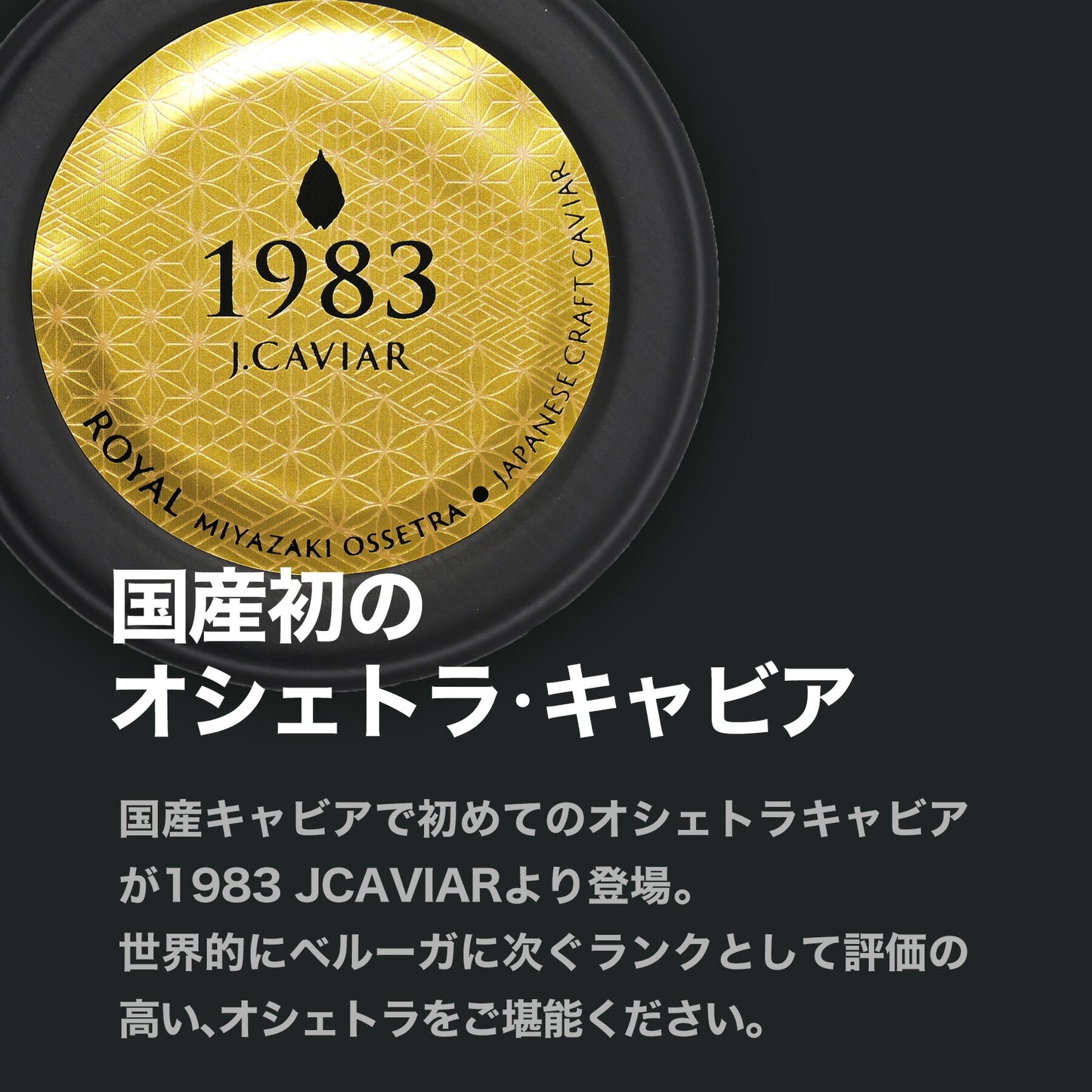 宮崎キャビア1983 オシェトラ ロイヤル(20g)