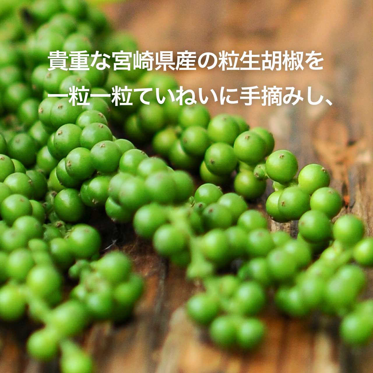 熟成 生胡椒 オリーブオイル漬け (36g)