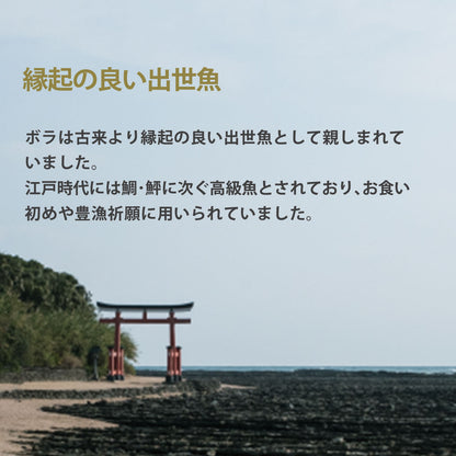 宮崎県産 本からすみ 一腹 (約200g)