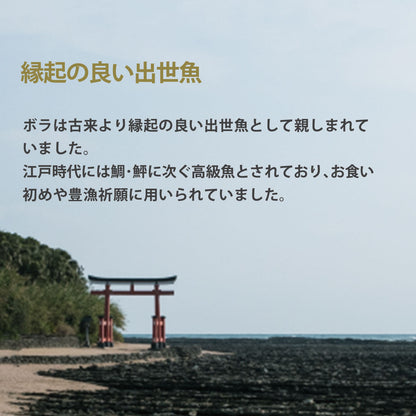宮崎県産 本からすみ 一腹 (約300g)