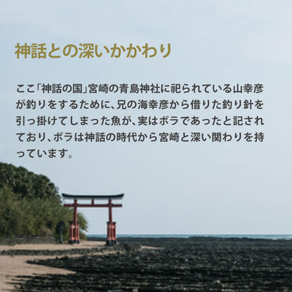 宮崎県産 本からすみ 一腹 (約300g)