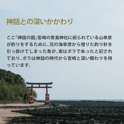 宮崎県産 本からすみ 一腹 (約200g)