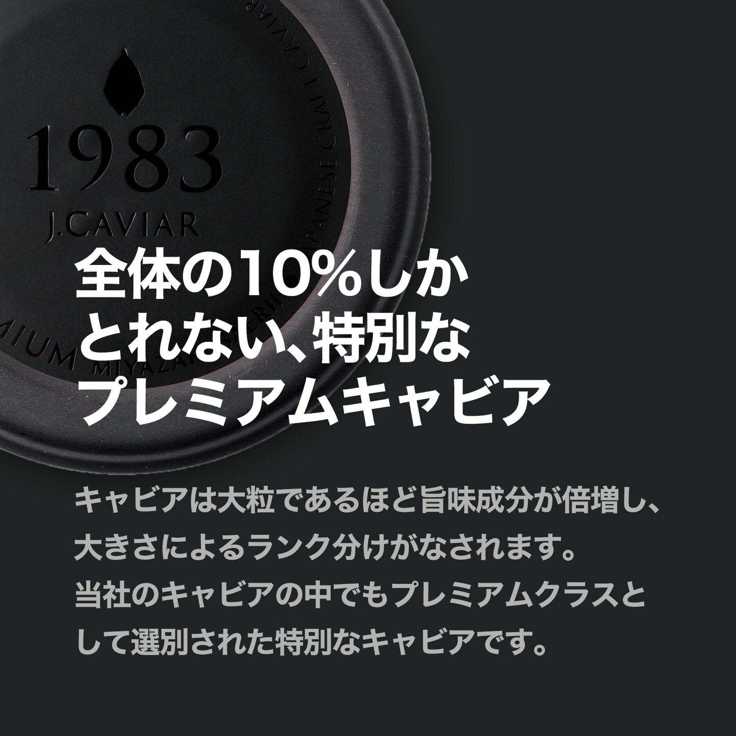 宮崎キャビア1983 バエリ プレミアム