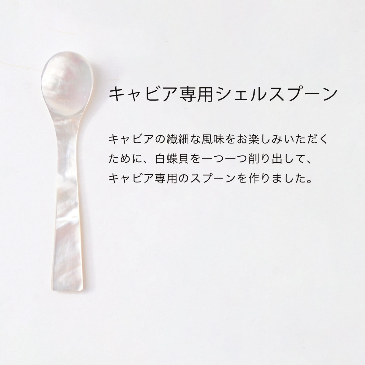 キャビア専用シェルスプーン（白蝶貝スプーン） | ジャパンキャビア
